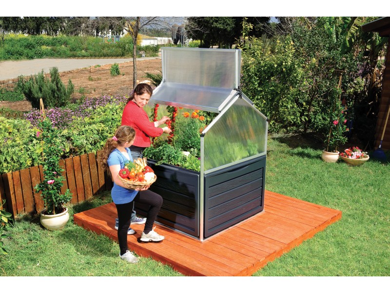 PLANT INN visoka greda